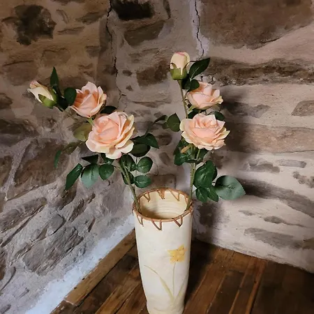 La Vigne *